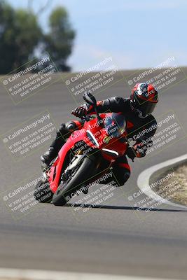 media/Sep-21-2025-TrackDaz (Sun) [[277c75b276]]/C Group/1240pm (Turn 2)/
